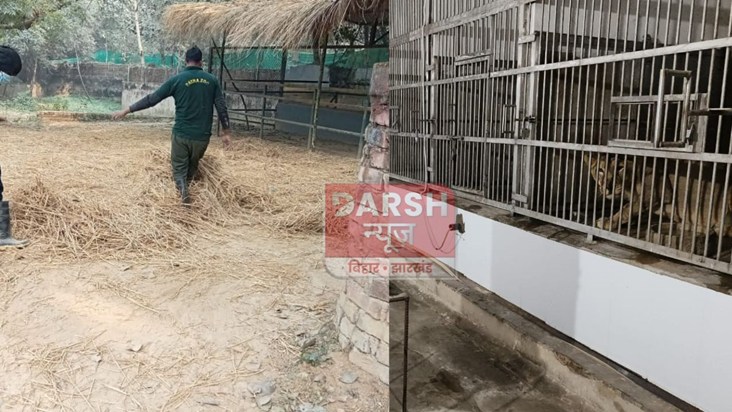 Blanket to the python and Chyawanprash to the chimpanzee