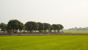 There will be no need to visit offices repeatedly for land documents.