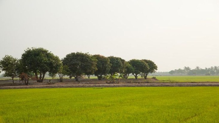 There will be no need to visit offices repeatedly for land d