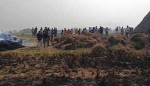 Months of hard work of farmers in Gaya went to ashes.