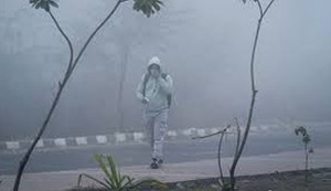 Beware! Fog and cold are likely to continue in Bihar for the next 7 days.