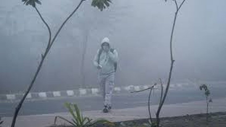 Beware! Fog and cold are likely to continue in Bihar for the