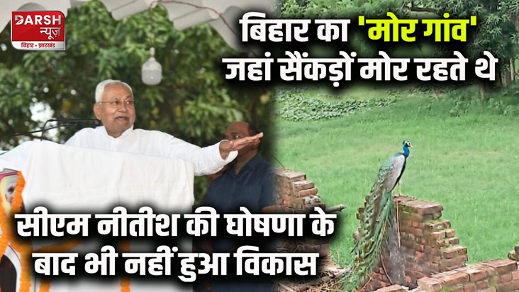 story-peacock-village-of-madhopur-govind
