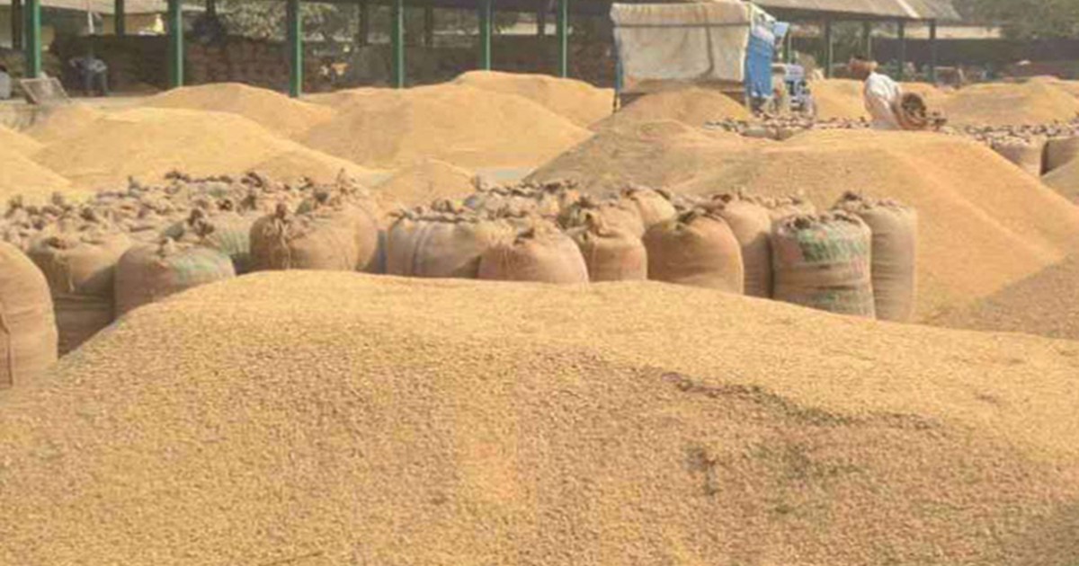 Record purchase of paddy in Bihar this year, Bhojpur was at 