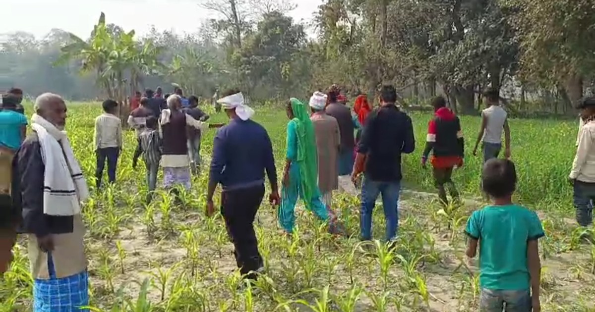 A young girl was murdered in the corn field of her own villa