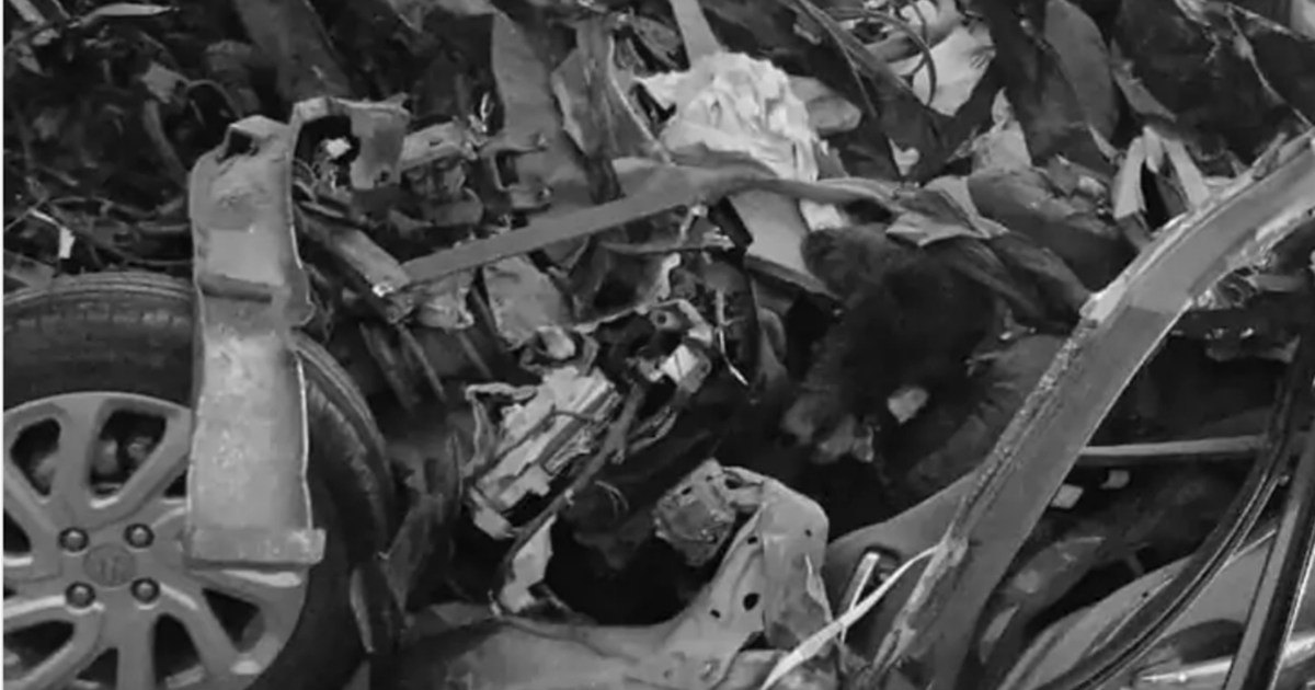 6 people including a husband and wife and son from Bihar die