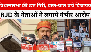 Assembly roof collapses