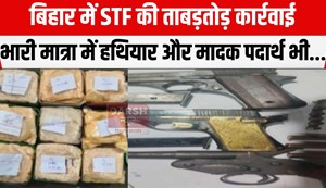 stf ne kai logo ko dabocha