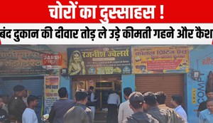 The audacity of thieves