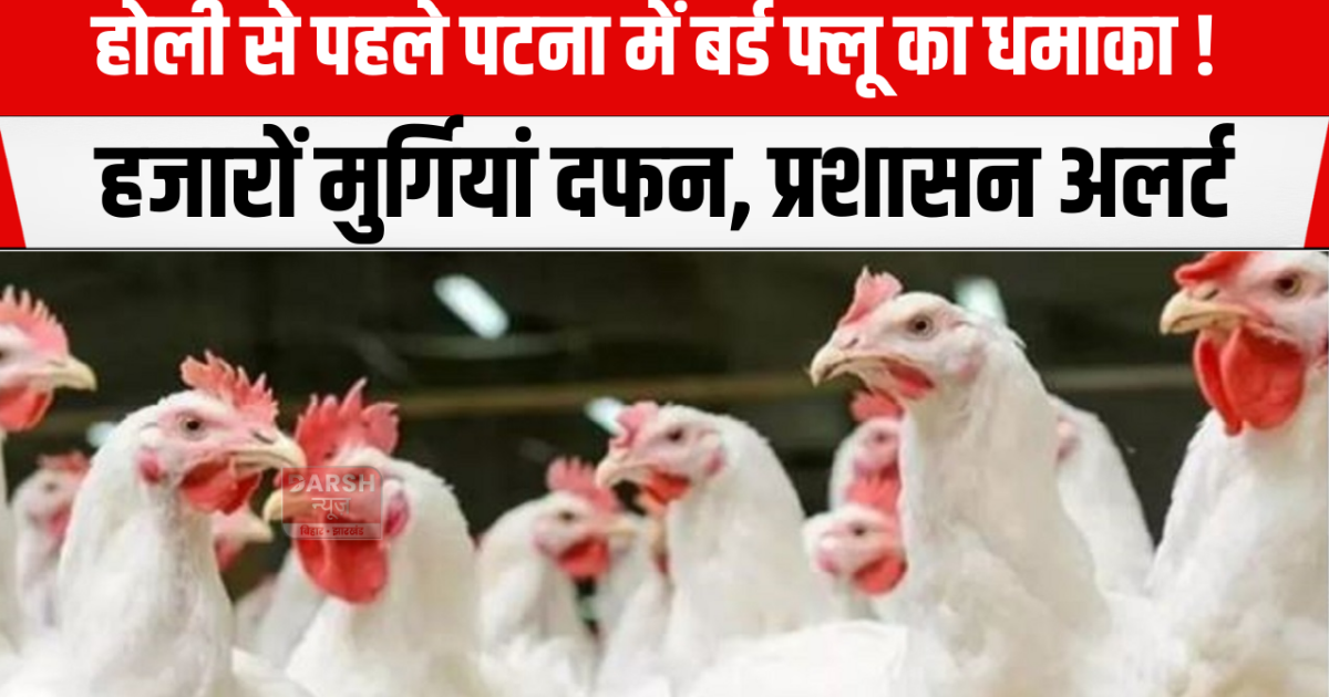 Bird flu outbreak in Patna before Holi