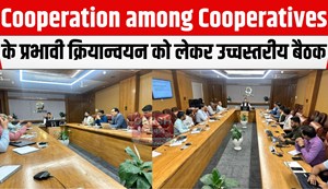 Cooperation among Cooperatives