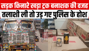 Truck parked on the roadside is the cause of destruction