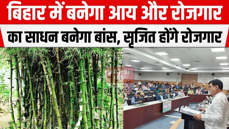 bamboo tree se kamai