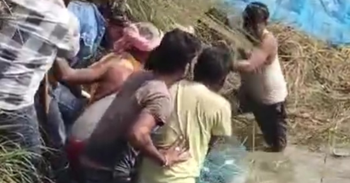 In Bagaha, children, old and young got into the pond to catc