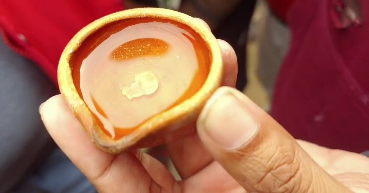 A strange stone fell from the sky in Katihar, started burnin