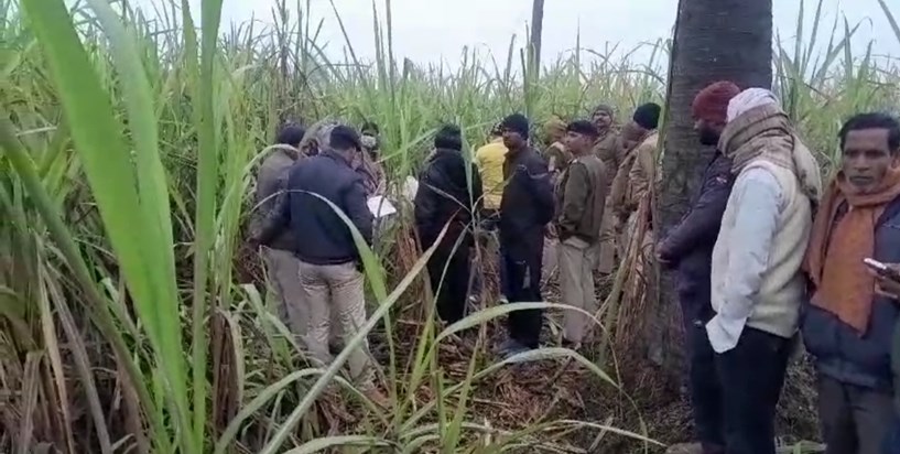 Sensation: Dead body of a youth found in sugarcane field in 