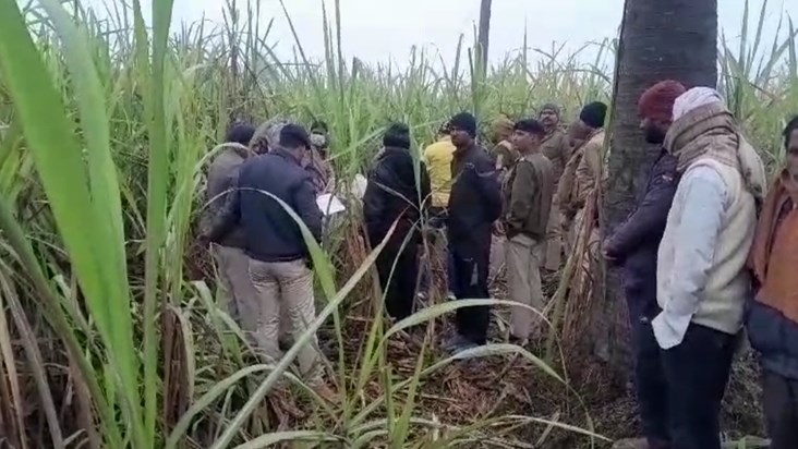 Sensation: Dead body of a youth found in sugarcane field in 