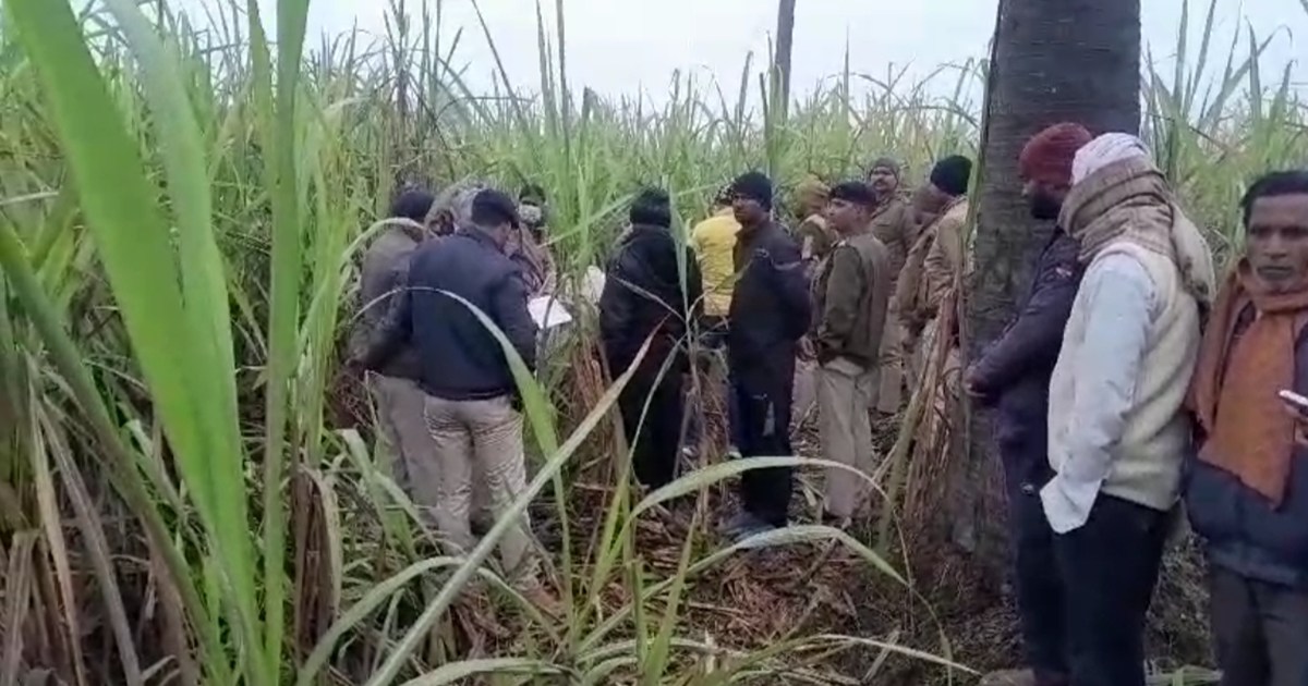 Sensation: Dead body of a youth found in sugarcane field in 