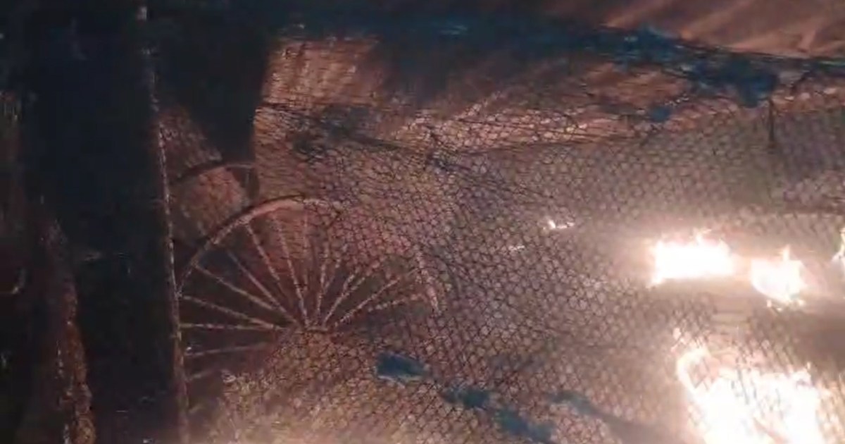 In Katihar, 3100 chicken chicks were wiped out in a moment, 