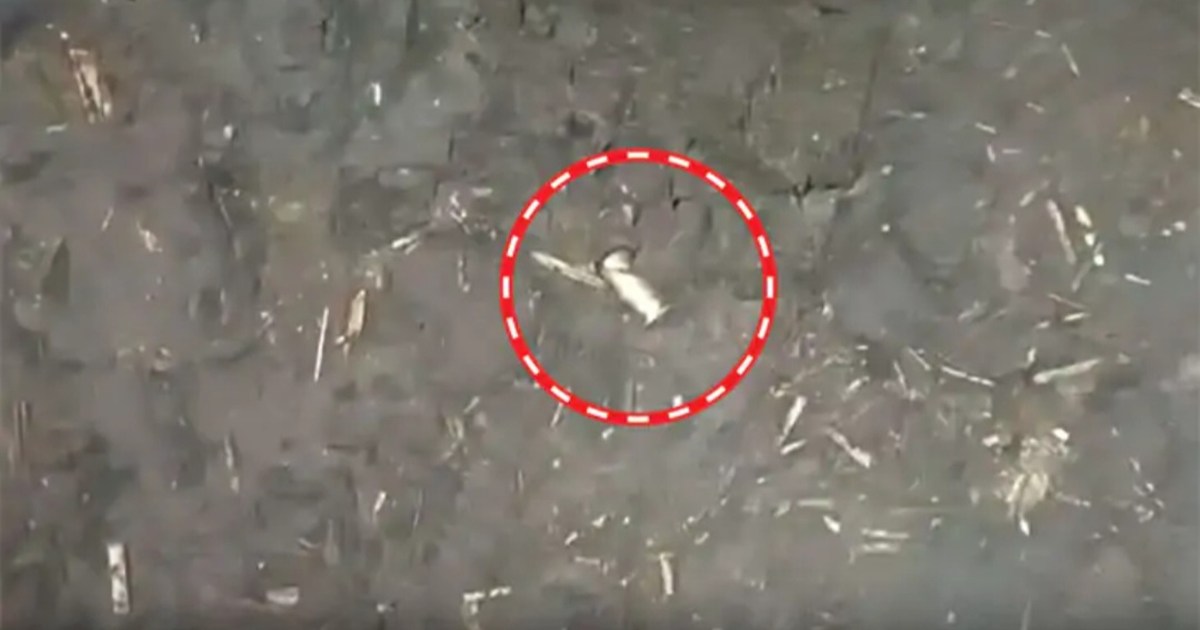 Gang war in Mokama: Heavy firing outside Mukesh's house in H