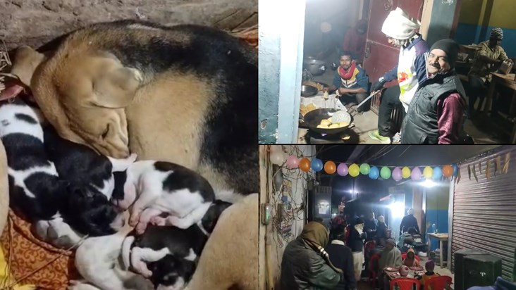 Strange: Puppy's Chhathi was celebrated, dance on DJ with de