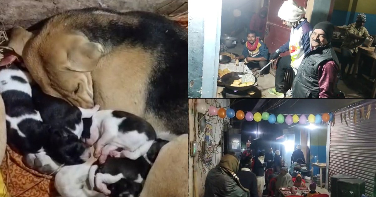 Strange: Puppy's Chhathi was celebrated, dance on DJ with de