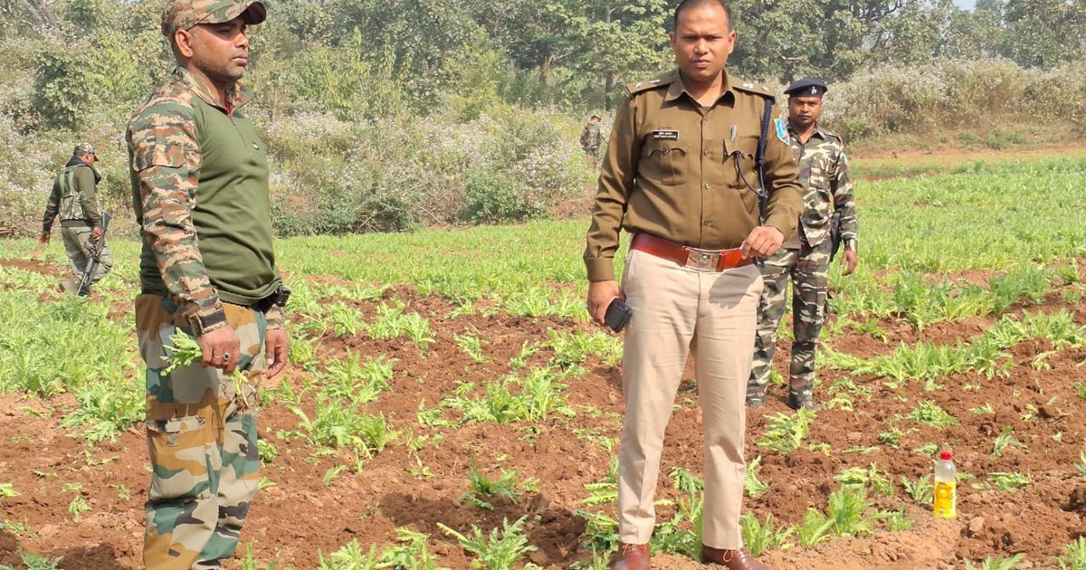 Jharkhand police took action against opium cultivation