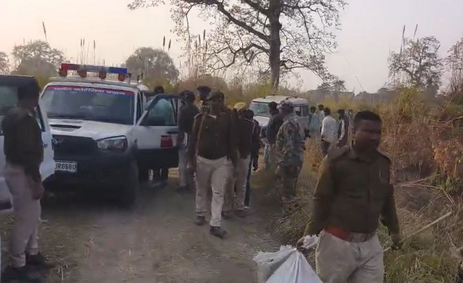 jungle me latka skeleton 