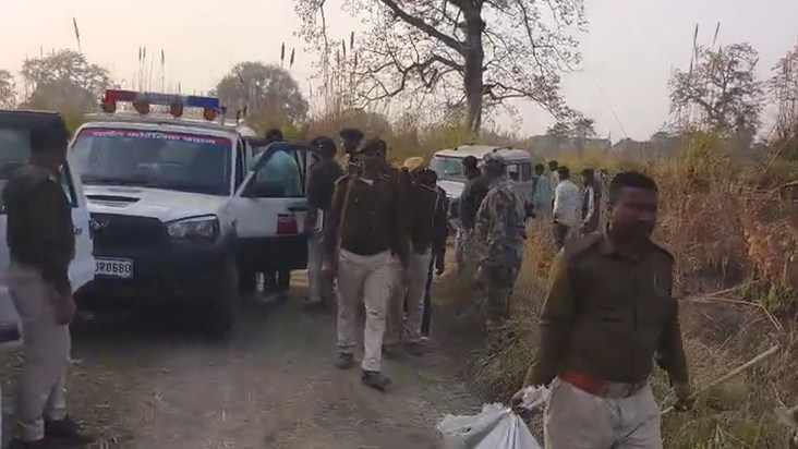 jungle me latka skeleton 