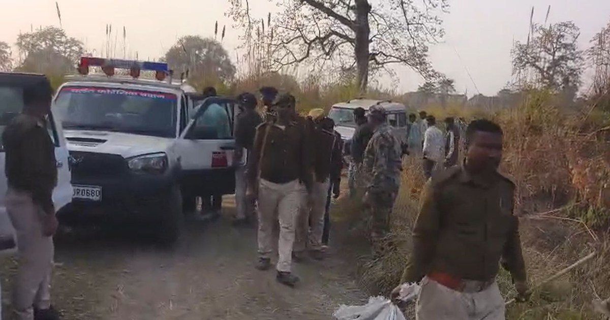 jungle me latka skeleton 