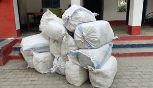 Major disclosure on Supaul NH-27: 451 kg of marijuana recovered from Bolero