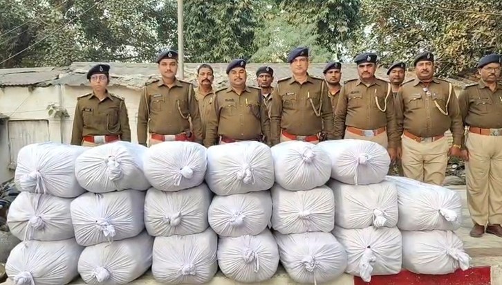 620 kg of marijuana was hidden in a maize field in Veerpur, 