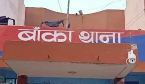 social media love story 