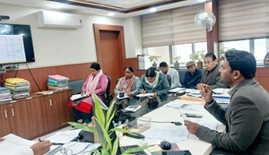 By January 31, all pending cases related to driving licenses and vehicle registration will be cleared.