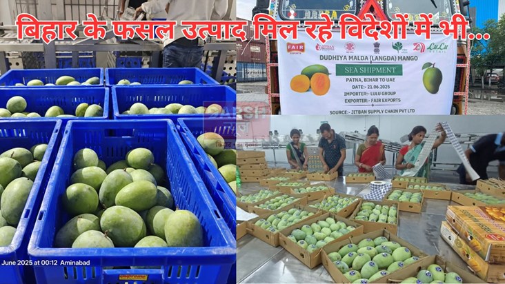 bihar ke fasal utpad ab vidsho me