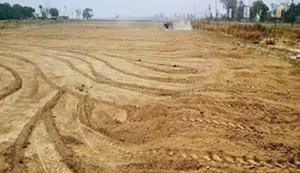 Registry work will now be done on holidays and Sundays as well.