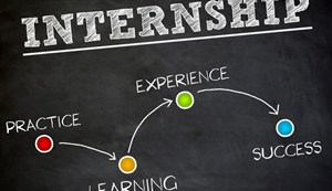 The internship is to be done in government departments.