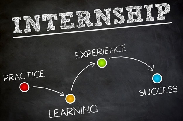 The internship is to be done in government departments.