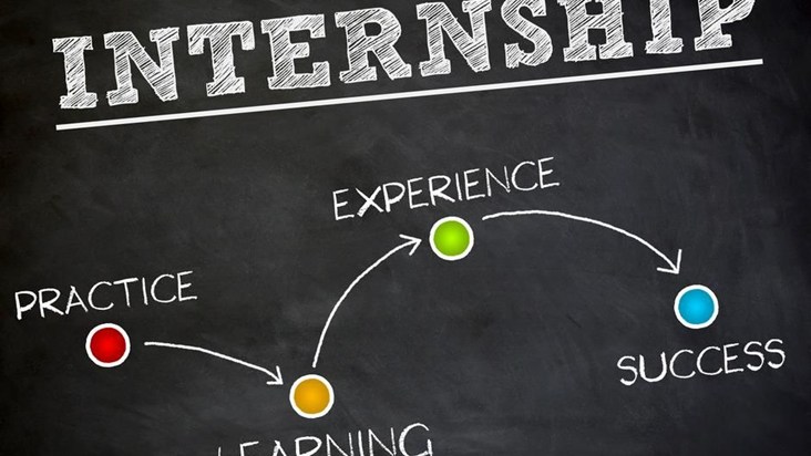 The internship is to be done in government departments.