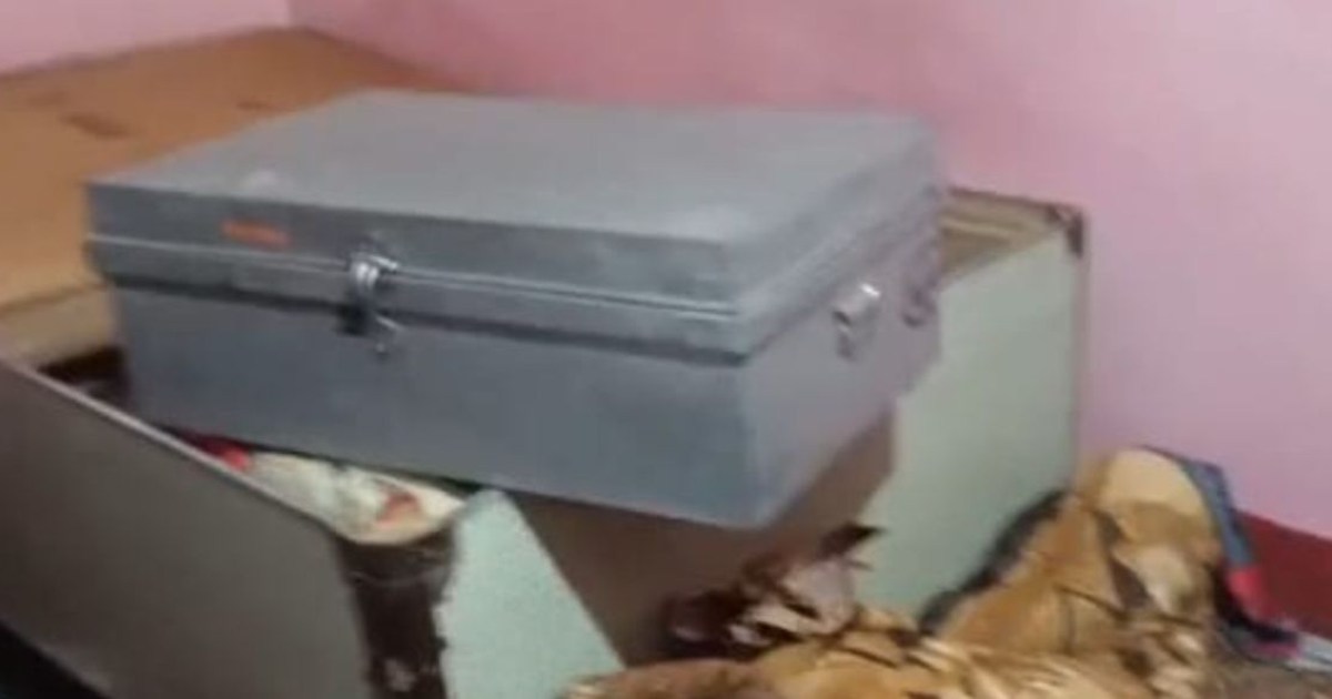 Thieves entered a locked house, and when the owner returned,