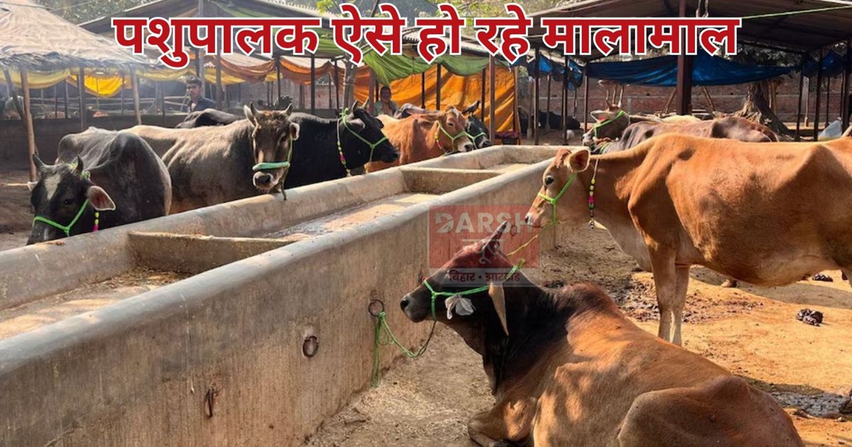 Livestock farmers in Bihar are becoming wealthy.