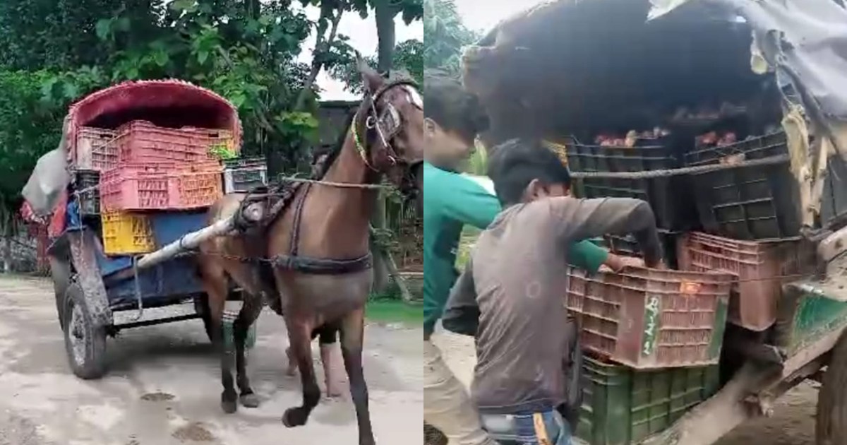 Smuggling of tomatoes from gig, Raxaul reaching directly fro