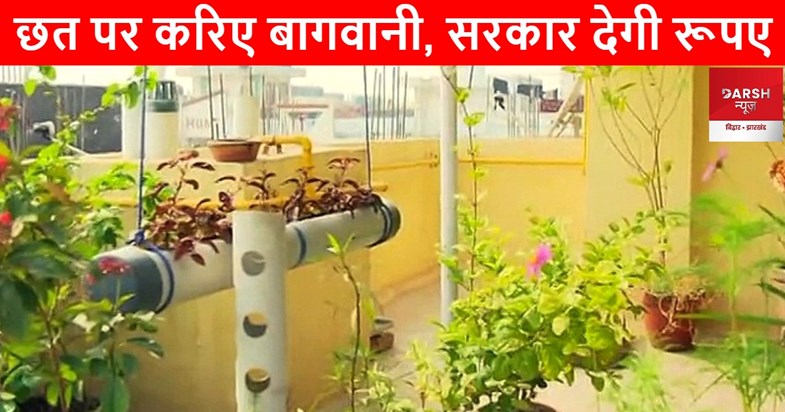 terrace gardening yojna terrace gardening yojna