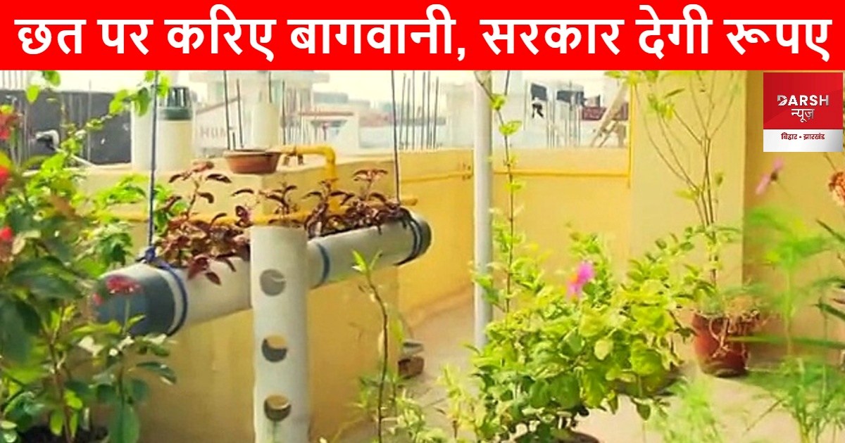 terrace gardening yojna