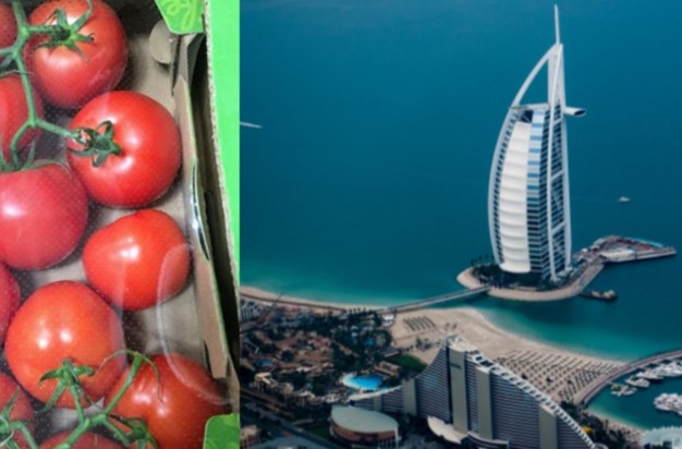 daughter-carries-10-kg-of-tomatoes-from-dubai-to-india-for-h daughter-carries-10-kg-of-tomatoes-from-dubai-to-india-for-h
