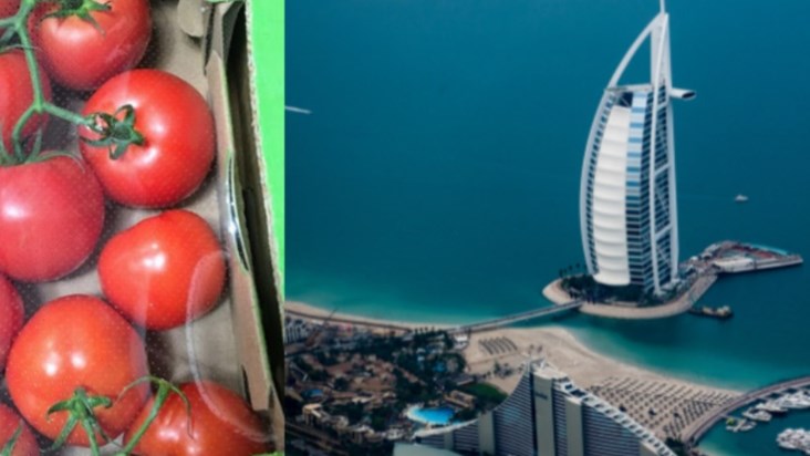 daughter-carries-10-kg-of-tomatoes-from-dubai-to-india-for-h