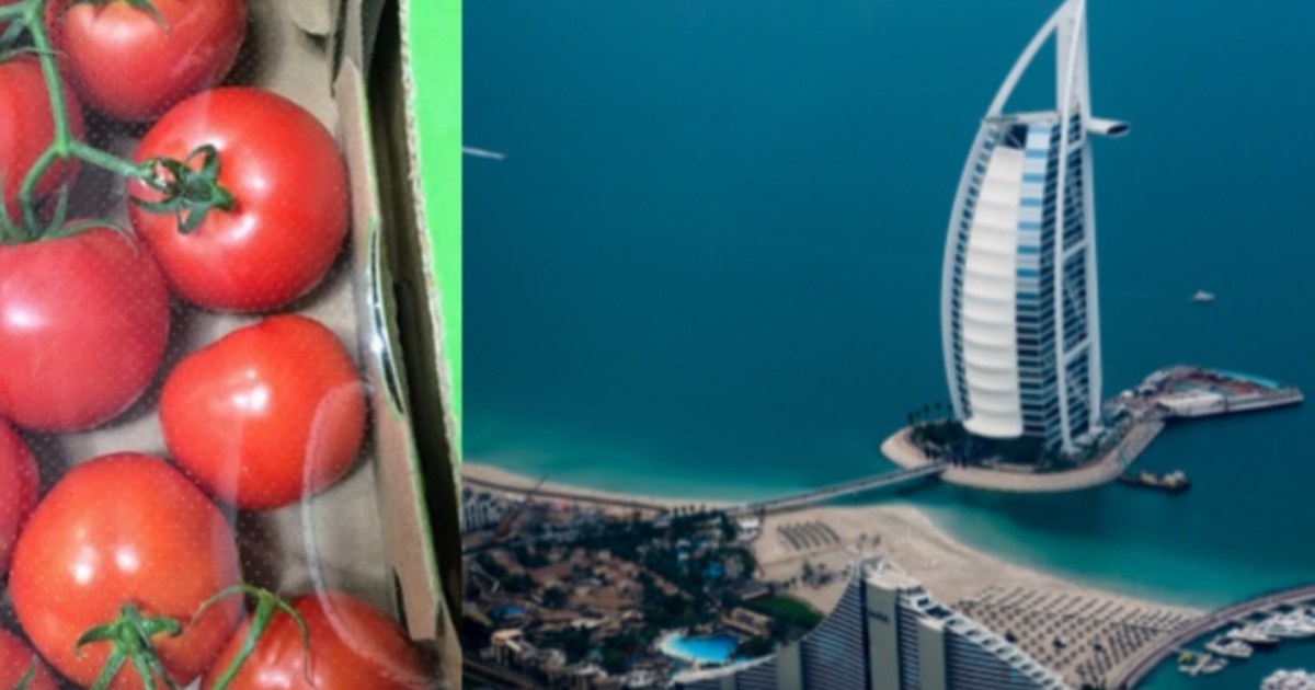 daughter-carries-10-kg-of-tomatoes-from-dubai-to-india-for-h