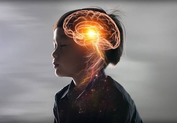 world brain day world brain day