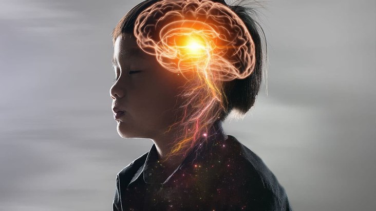 world brain day