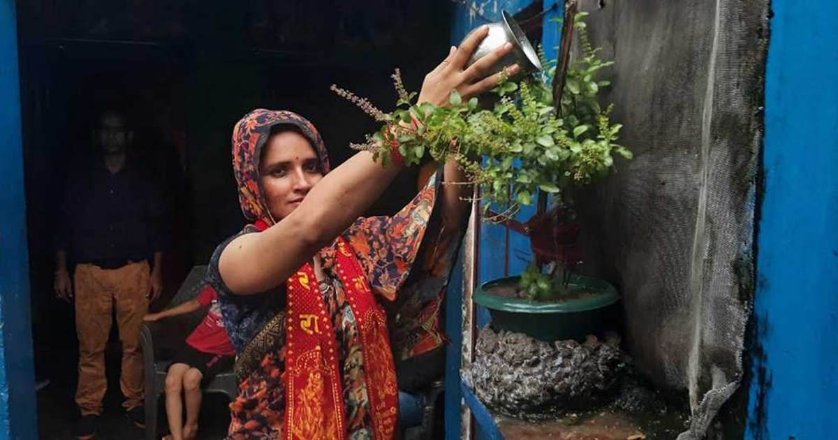 pakistani seema sachin haider bail 